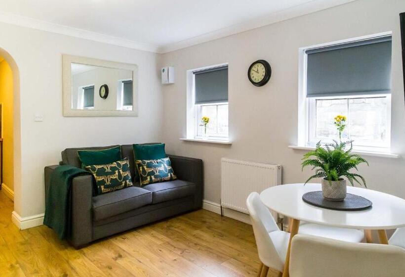 דירה קלאסית חדר שינה אחד, Goodramgate Apartments