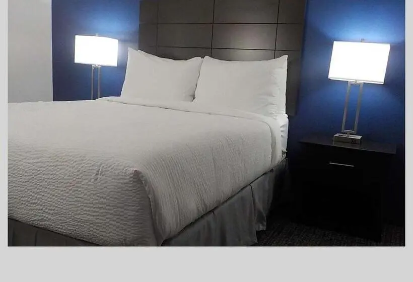 身障者適用スタンダードルーム, Surestay Hotel By Best Western Presque Isle