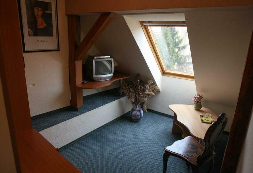 غرفة إقتصادية فردية, Barokk Antik Guest Hause