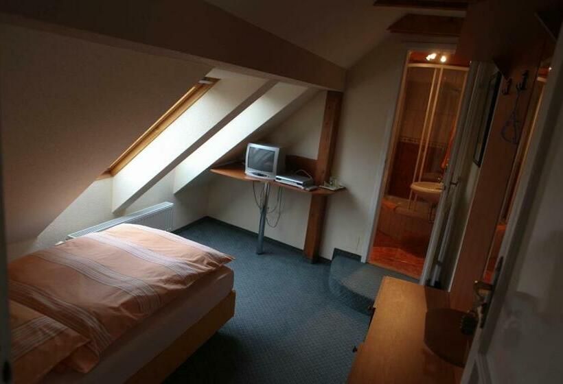 غرفة إقتصادية فردية, Barokk Antik Guest Hause