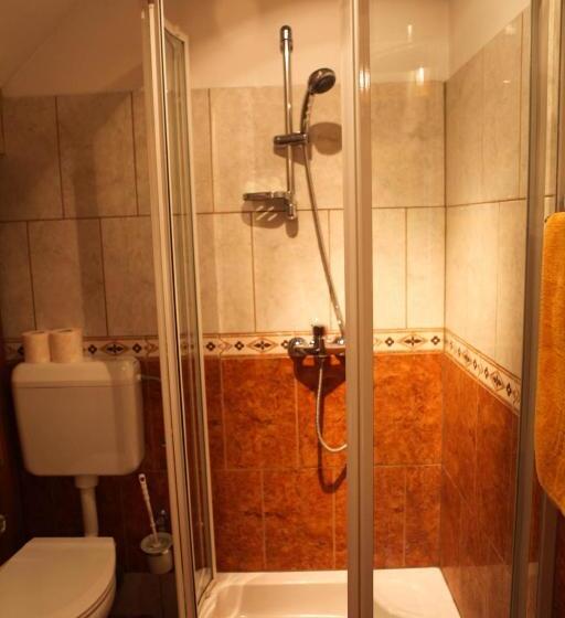 غرفة إقتصادية فردية, Barokk Antik Guest Hause