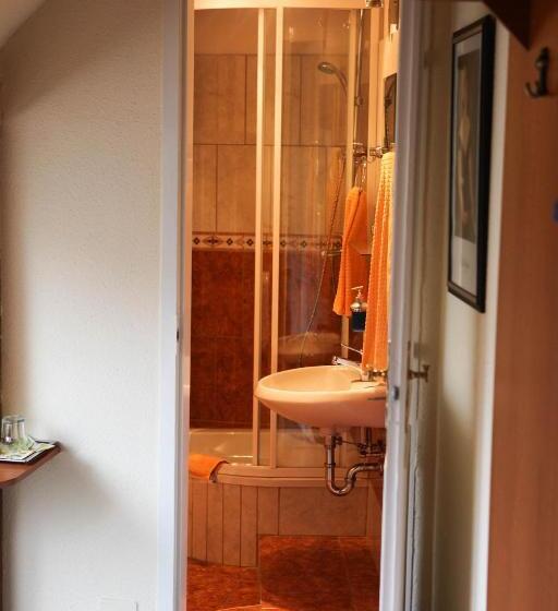 غرفة إقتصادية فردية, Barokk Antik Guest Hause