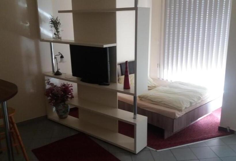 شقة غرفة واحدة, Barokk Antik Guest Hause