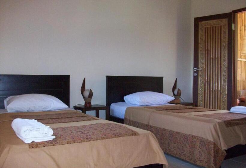 חדר סטנדרט, Petit Boo Amed