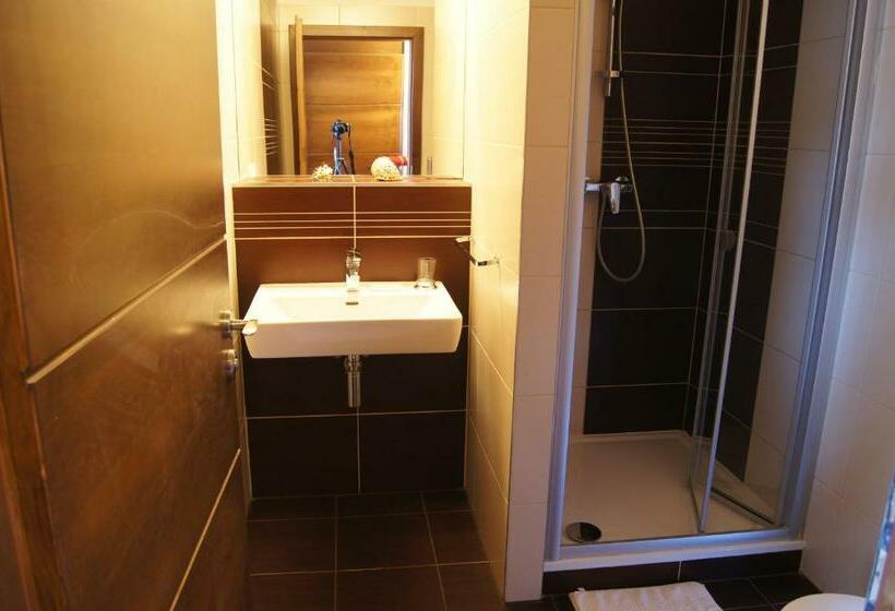 スタンダードルーム, Pension Inspirace A Wellness Self Check In