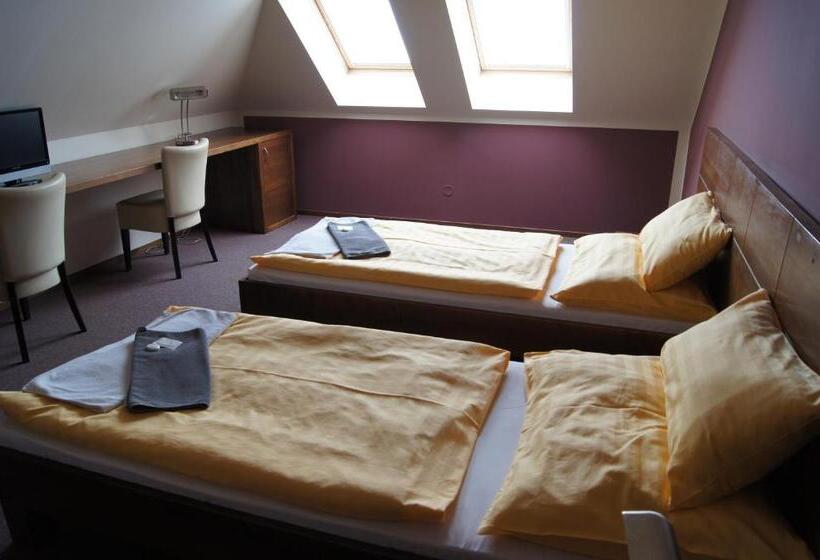 スタンダードルーム, Pension Inspirace A Wellness Self Check In