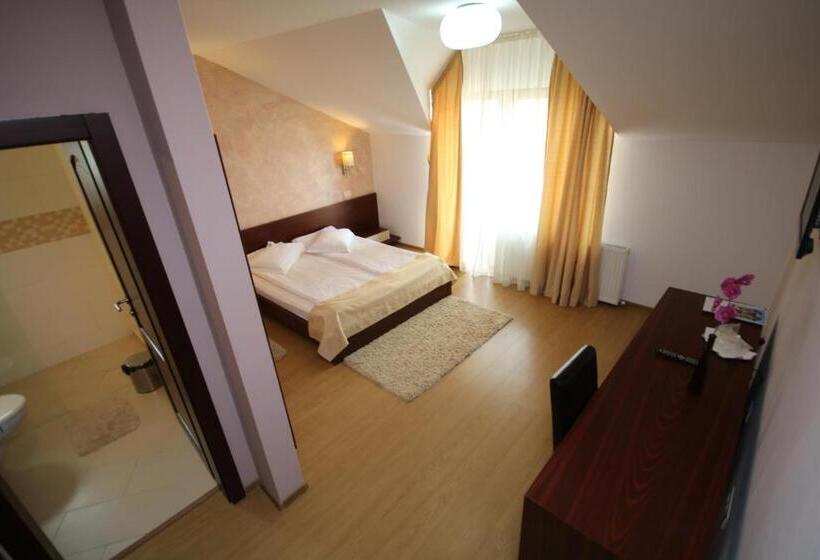 Comfort room with balcony, Pensiunea Konfort