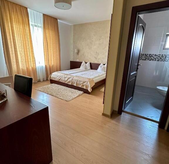 Comfort room with balcony, Pensiunea Konfort