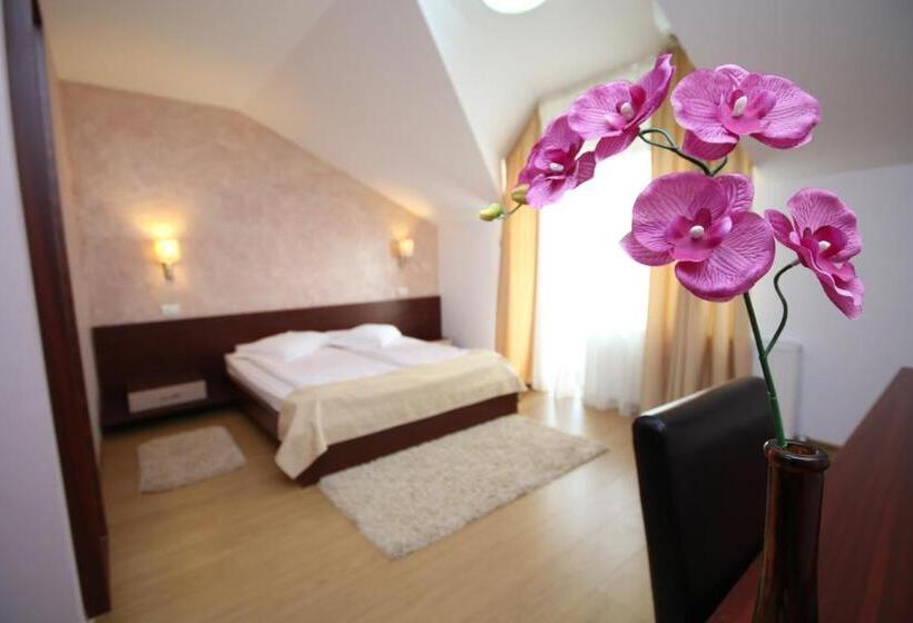 Comfort room with balcony, Pensiunea Konfort