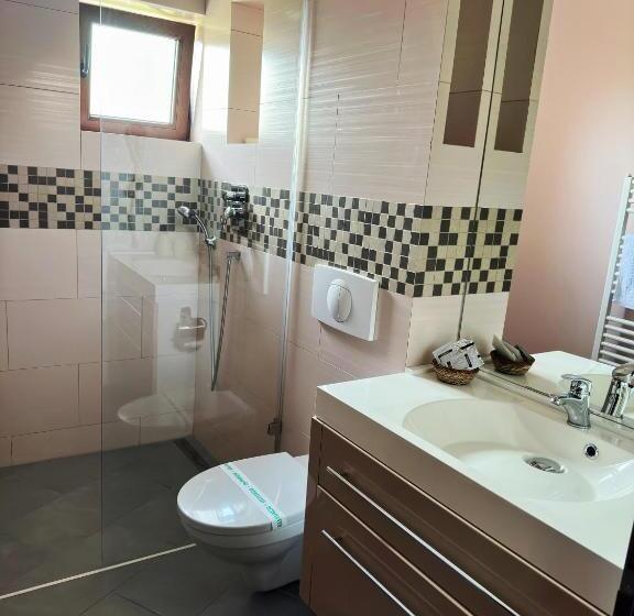 Comfort room with balcony, Pensiunea Konfort