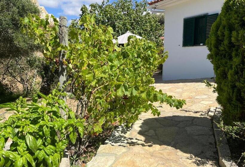 ویلای استاندارد با چشم‌انداز باغ, Silver Coast Vacation   Your Unique Inn