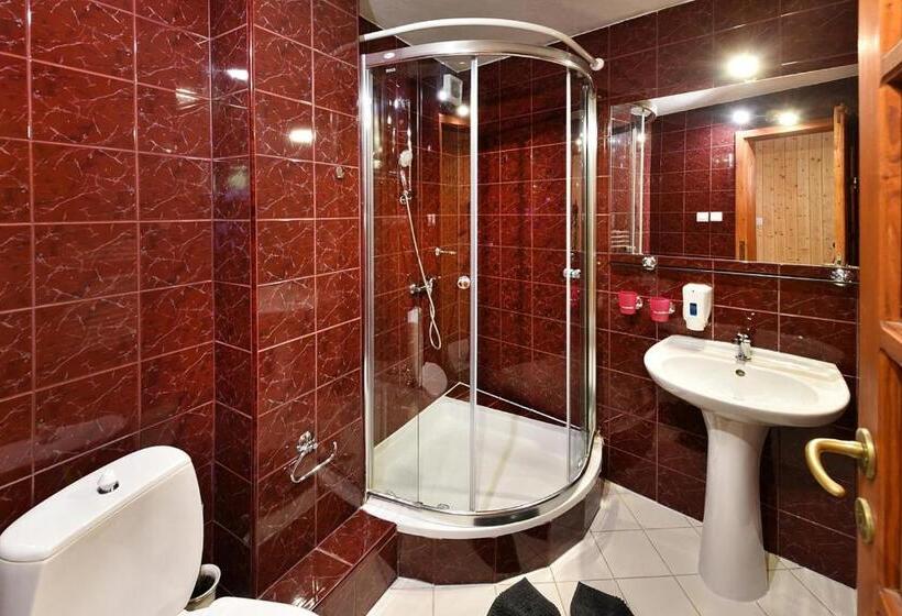 غرفة قياسية, Wellness Vila Astra