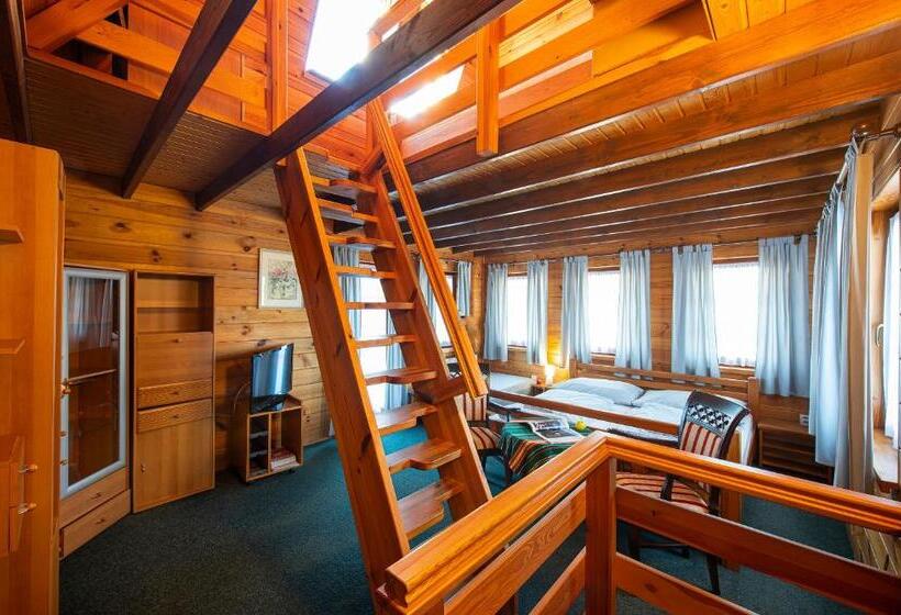 Апартаменты Дюплекс 3 Спальни, Wellness Vila Astra