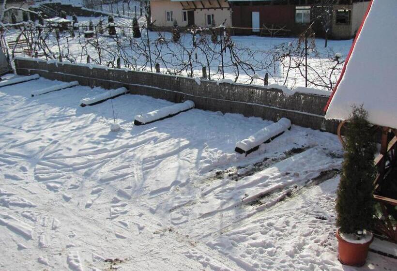 침실 1개 주택, Pensiunea Robi&norbi Sovata