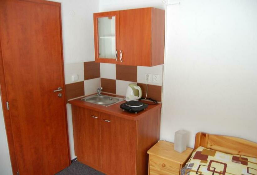 Standard Studio, Penzion U Můstku Jiřího Rašky