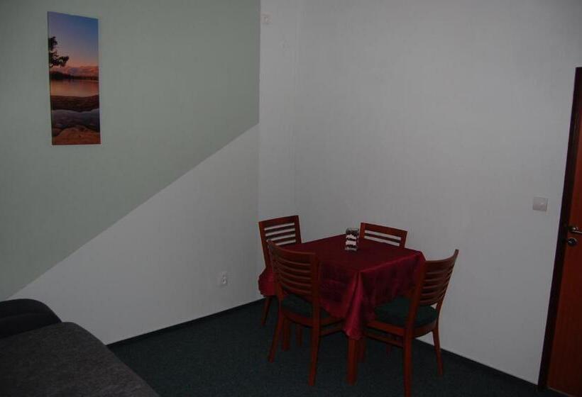 Standard Studio, Penzion U Můstku Jiřího Rašky