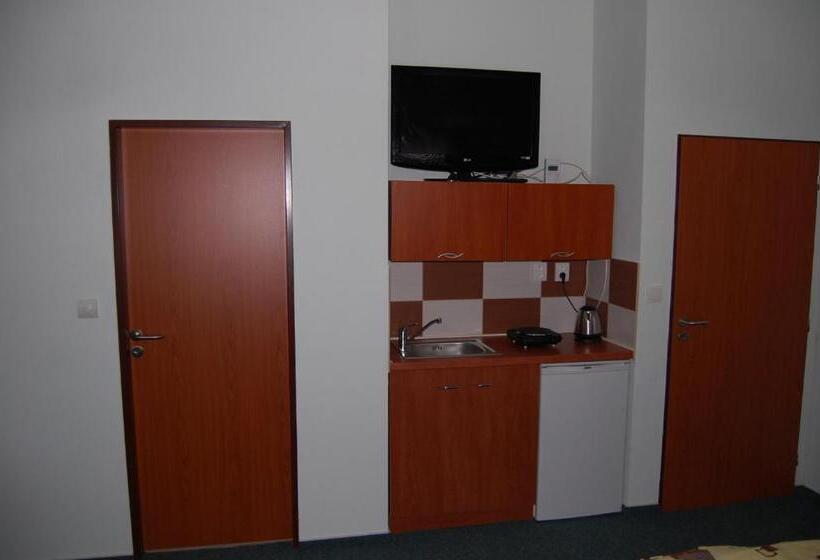 Standard Studio, Penzion U Můstku Jiřího Rašky