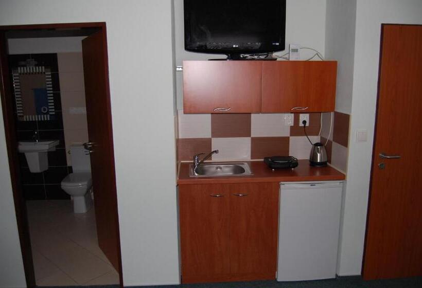 Standard Studio, Penzion U Můstku Jiřího Rašky