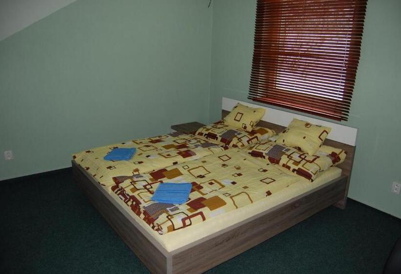 Standard Studio, Penzion U Můstku Jiřího Rašky