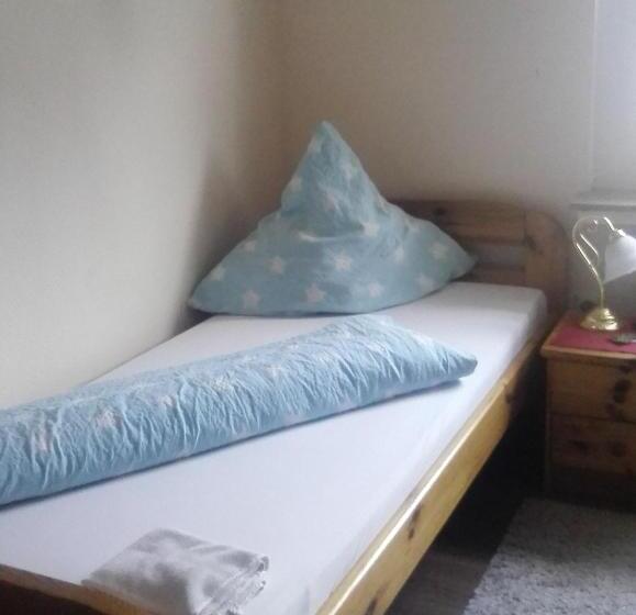 اتاق استاندارد یک نفره, Heidi's Art