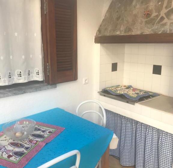 استودیو خانوادگی, Hospedaria Bernardo