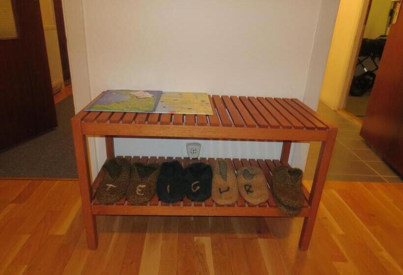 اتاق استاندارد با سرویس بهداشتی مشترک, Teigur Guesthouse