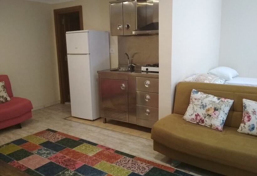 Standard-studio, Cennet Apart