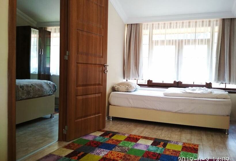 Standard Studio Mountain View