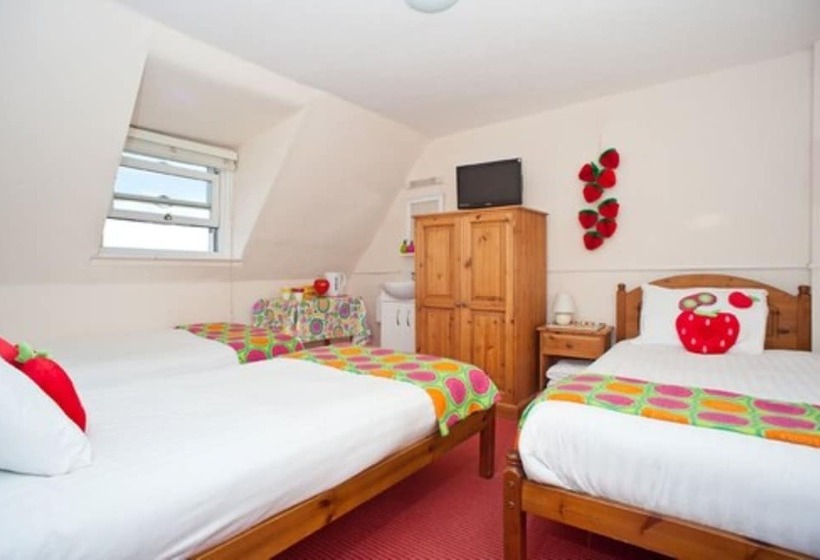 스탠다드 트리픔 룸 공동욕실, Strawberry Fields