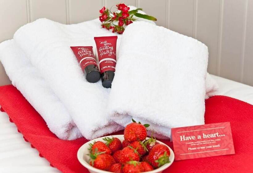 스탠다드 싱글 룸, Strawberry Fields