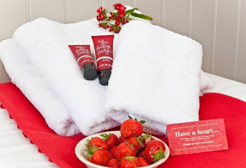 스탠다드 싱글 룸, Strawberry Fields