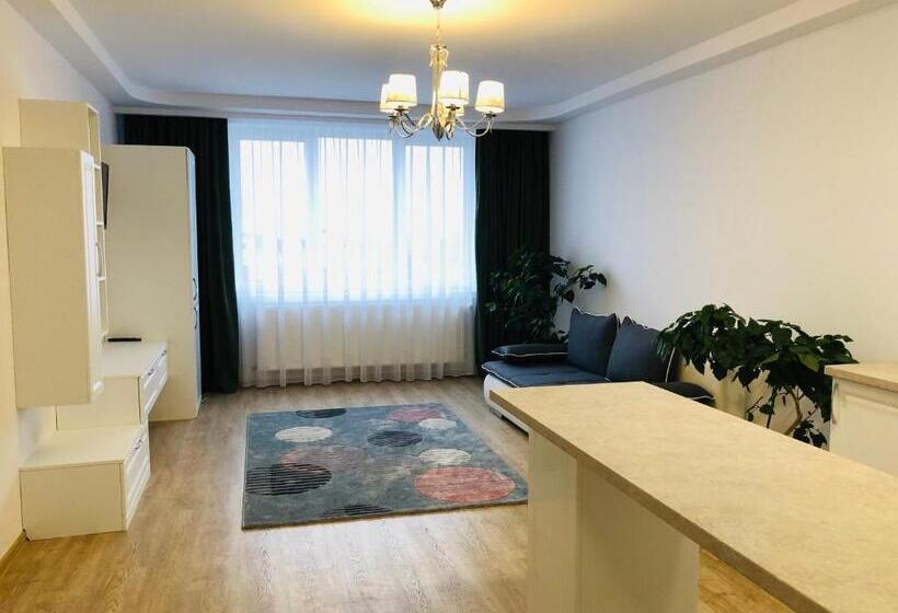 침실 1개 발코니 아파트, Pensiunea Amso