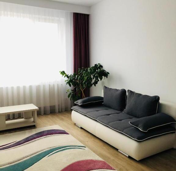 침실 1개 발코니 아파트, Pensiunea Amso