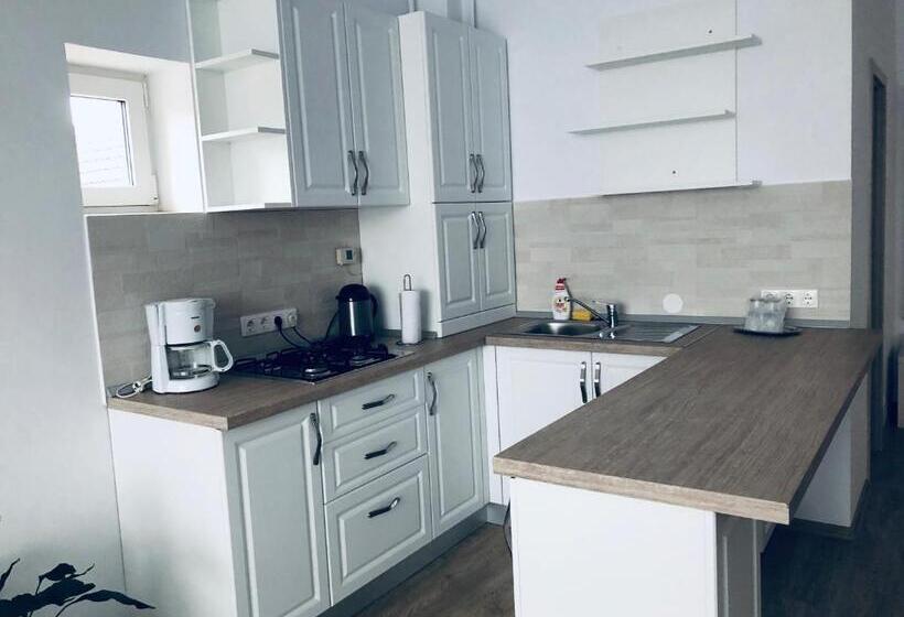 침실 1개 발코니 아파트, Pensiunea Amso