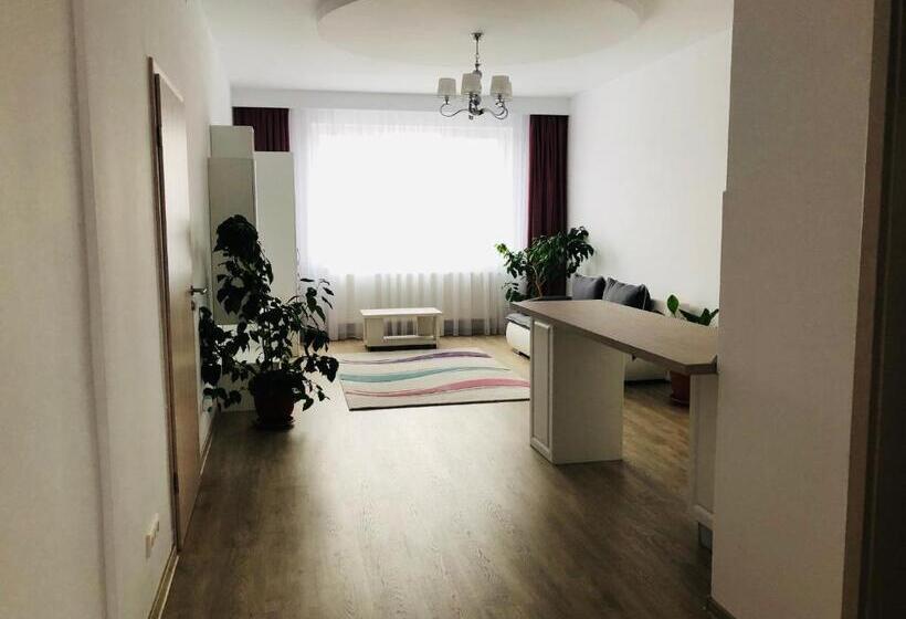 침실 1개 발코니 아파트, Pensiunea Amso