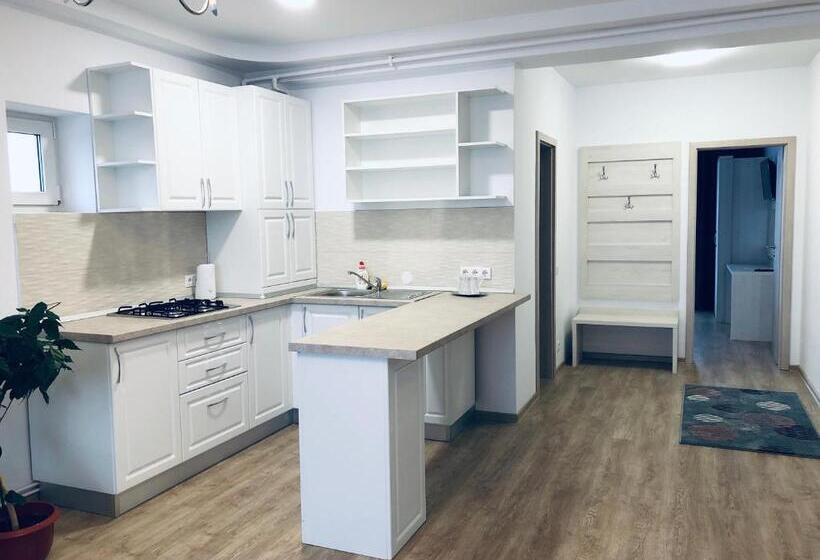 침실 1개 발코니 아파트, Pensiunea Amso