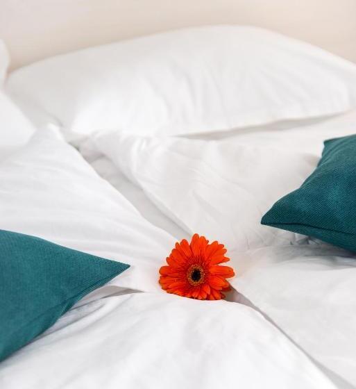 스탠다드 룸, Pensiunea Amso