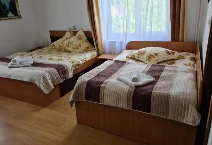 اتاق استاندارد سه نفره, Pensiunea Constanta