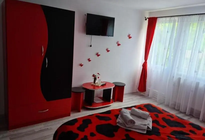 اتاق استاندارد, Pensiunea Constanta