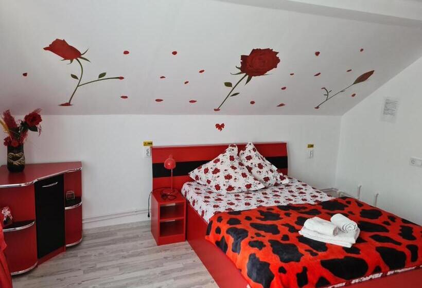 غرفة قياسية, Pensiunea Constanta