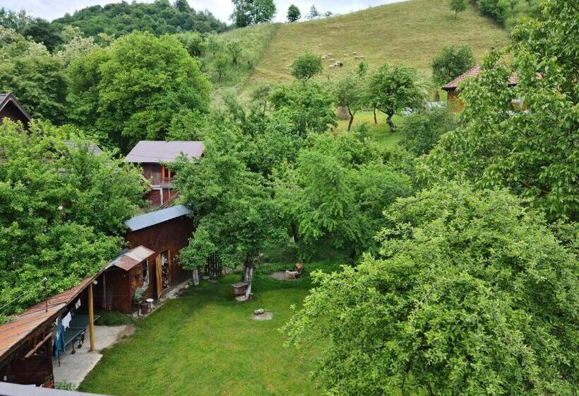 스탠다드 룸, Pensiunea Constanta