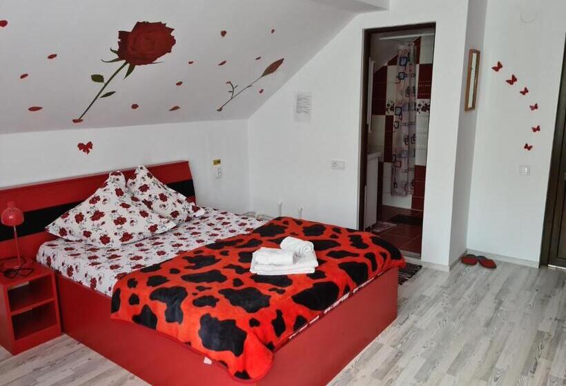 스탠다드 룸, Pensiunea Constanta