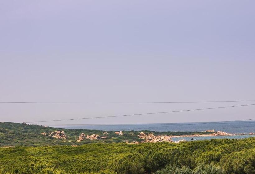 Апартаменты 1 Спальня Вид на Море, Residence Lu Lamoni Costa Nord