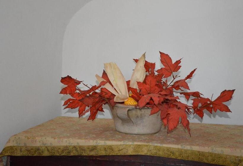 חדר סטנדרט, Agriturismo Tenuta Buon Respiro