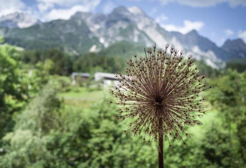 스탠다드 트리플 발코니 룸, Ferienpension Bierbaumer