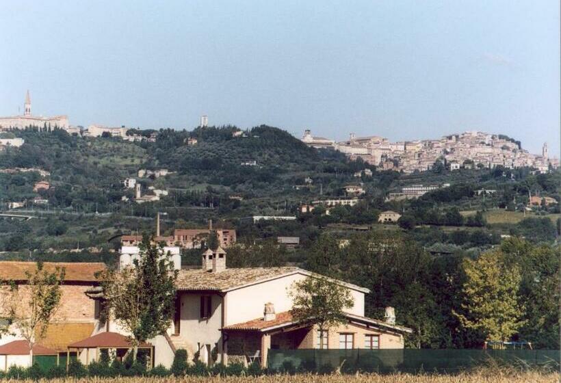 إستوديو قياسى, Miralduolo