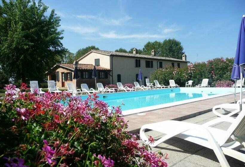 إستوديو قياسى, Miralduolo