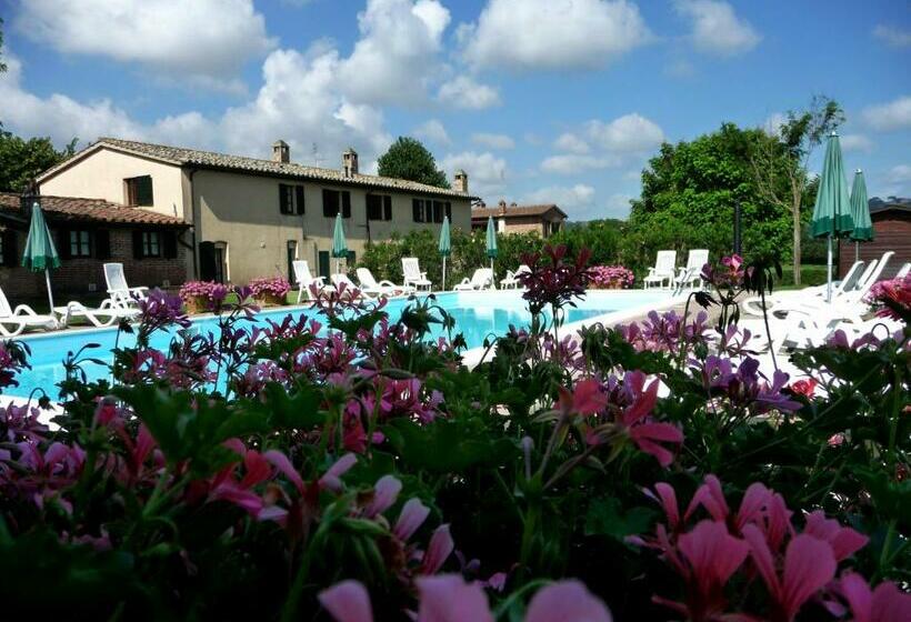 إستوديو قياسى, Miralduolo