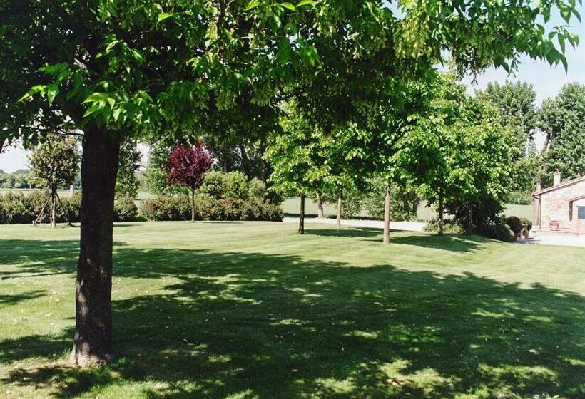 إستوديو قياسى, Miralduolo