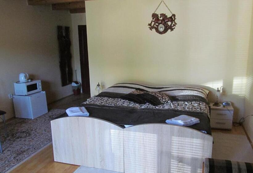 豪华房间, A+s Penzion Podzamok